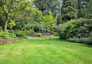 Optimiser l'expérience du jardin à Pont-Bellanger