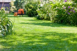 travaux jardin et paysage Pont-Bellanger